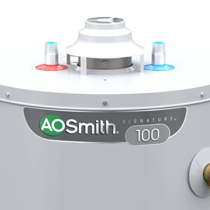 A.O. Smith Signature 100 50-Gallon Tall 9-Year Warranty 40000-BTU Natural Gas Water Heater | G9-UT5040NVR gordeo